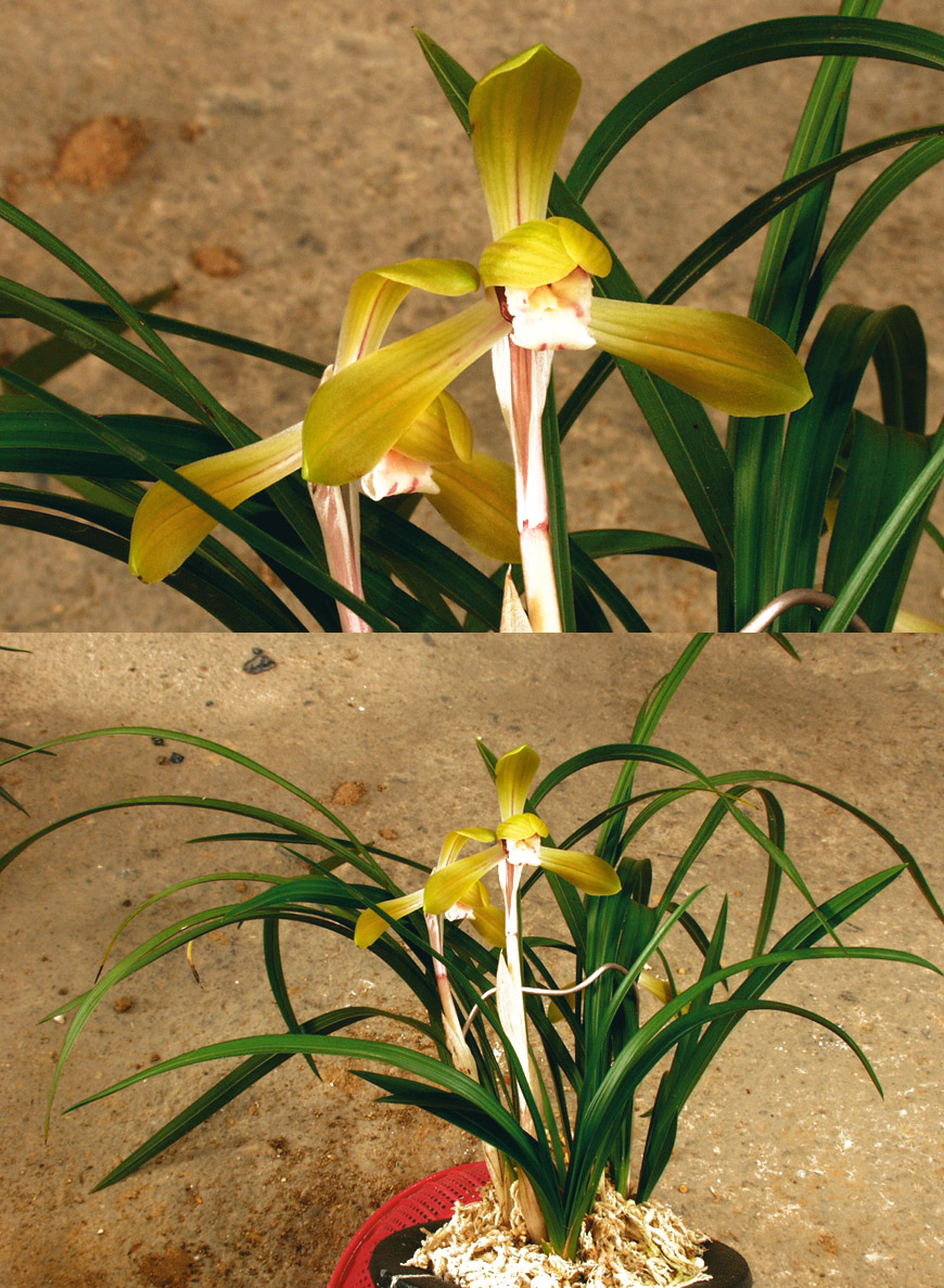 ������ ū������ �� �� �ֽ��ϴ�.